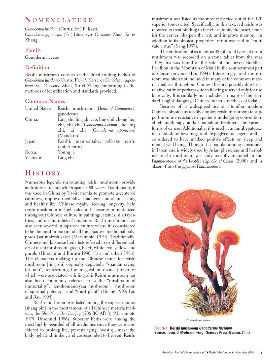 2000Reishi Mushroom-3