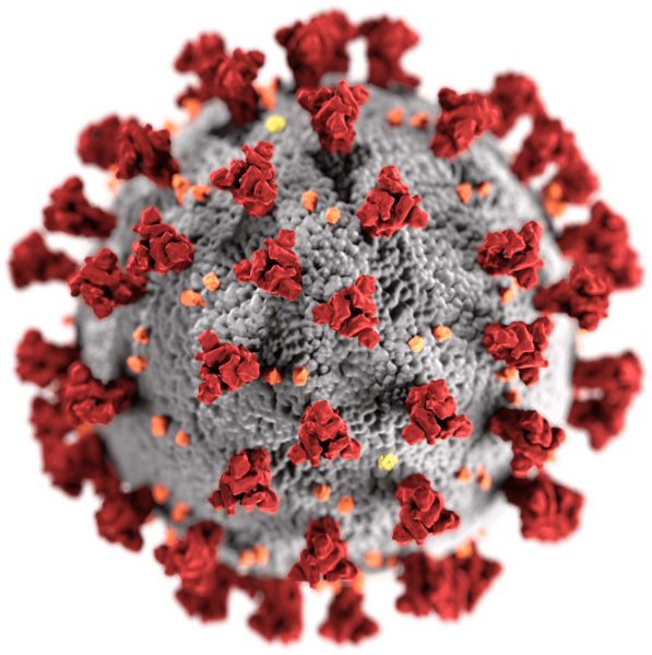 20210226-virus