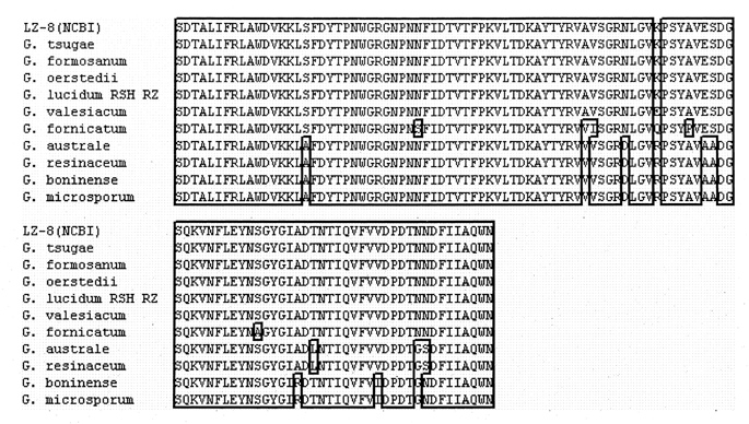 C1-3 10 DNA