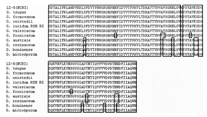 C1-3 10-DNA