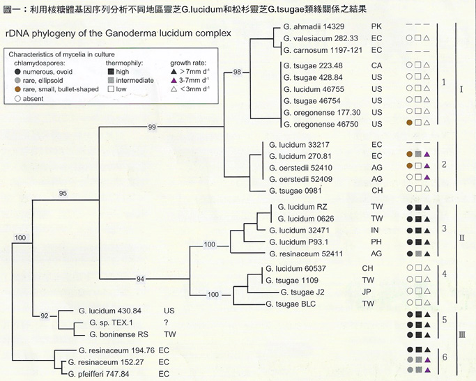 G1-11 ganoderma DNA