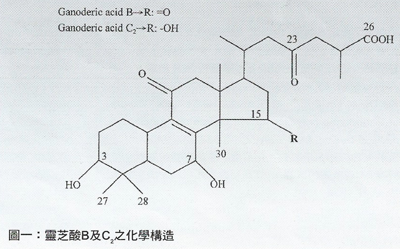 04-Su-1