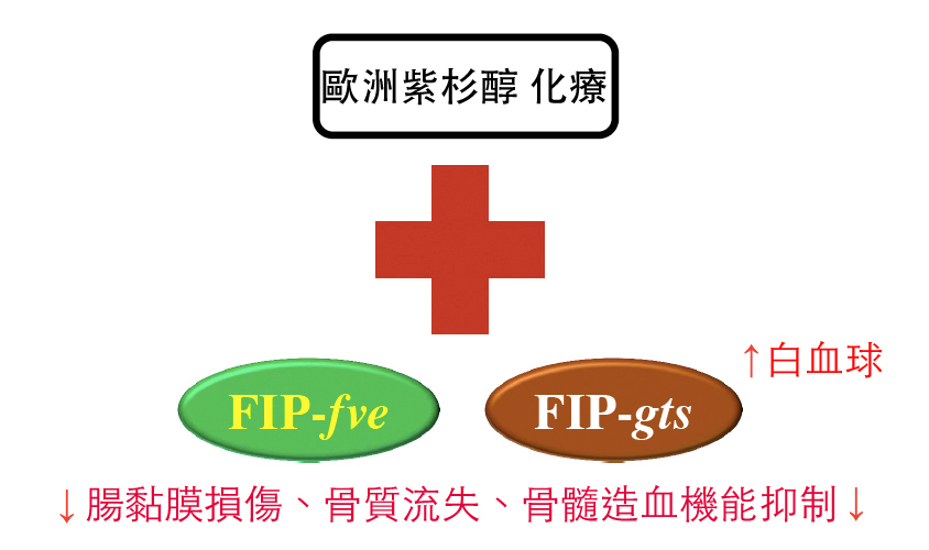 201509 FIP-gts-6