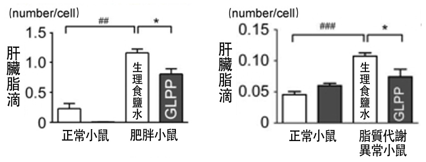 20190316-1